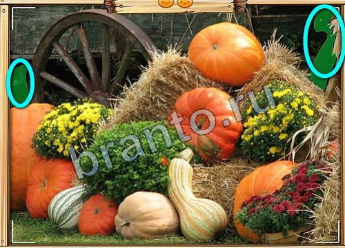 Усатое расследование игра ответы Уровень 403