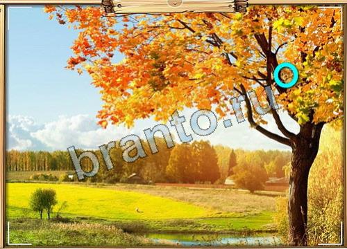 Игра Усатое расследование подсказки вк Уровень 408