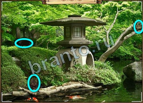 Усатое расследование игра подсказки Уровень 414