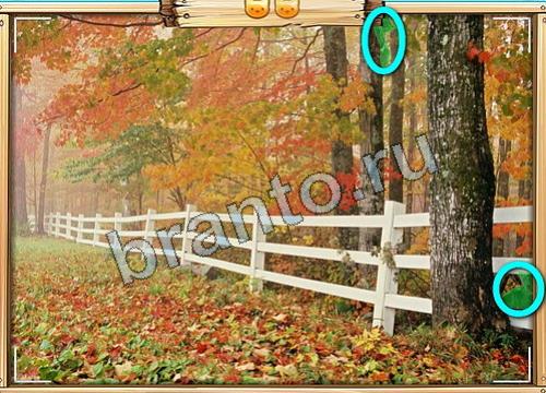 игра Усатое расследование помощь вконтакте Уровень 419