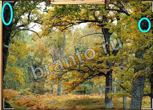 ответы на игру в одноклассниках Усатое расследование Уровень 426