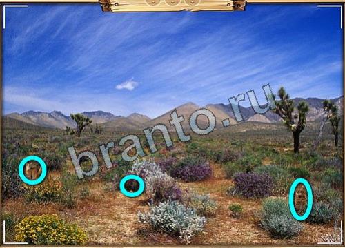 Усатое расследование подсказки в контакте Уровень 429