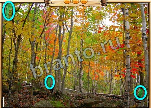 Усатое расследование игра ответы Уровень 433