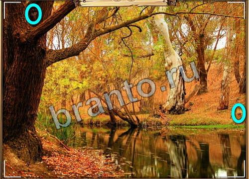 Усатое расследование игра в одноклассниках помощьУровень 435