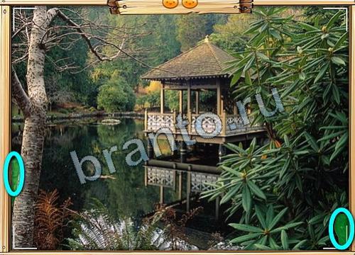 Усатое расследование ответы в картинках в контакте Уровень 436