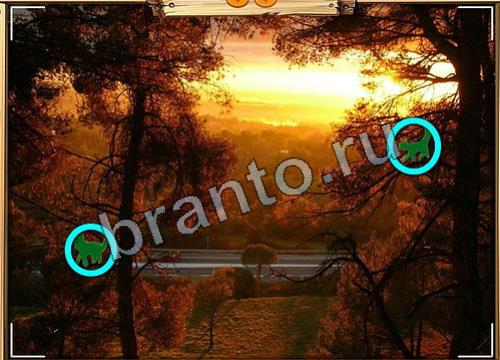 игра Усатое расследование ответы в одноклассниках на Уровень 440