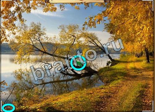 Усатое расследование игра подсказки Уровень 444