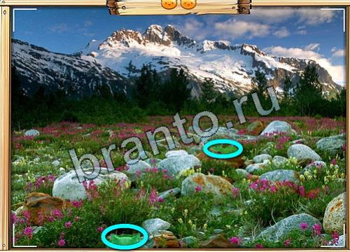 Усатое расследование ответы в картинках Уровень 446