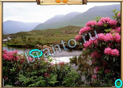 игра Усатое расследование помощь вконтакте Уровень 449