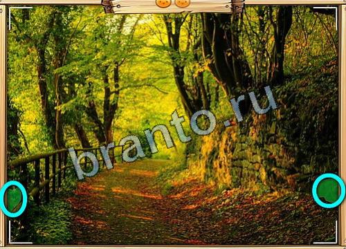 ответы на игру Усатое расследование в одноклассниках Уровень 451