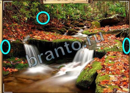 Решения на игру Усатое расследование Уровень 453