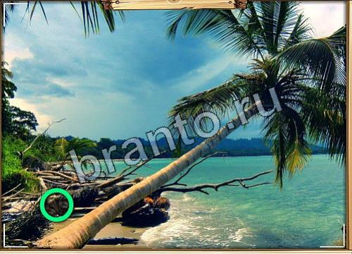 ответы на игру в одноклассниках Усатое расследование Уровень 456