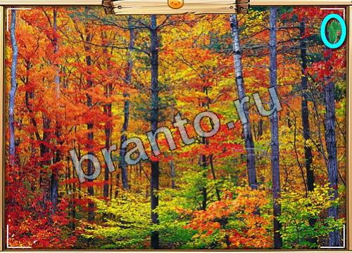 Одноклассники Усатое расследование ответы Уровень 458