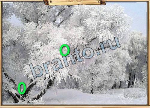 Усатое расследование подсказки в контакте Уровень 459