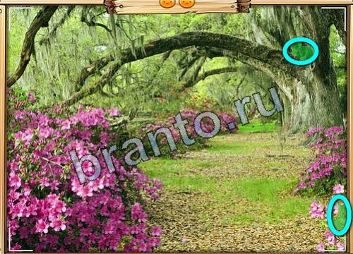 решебник на игру Усатое расследование Уровень 461