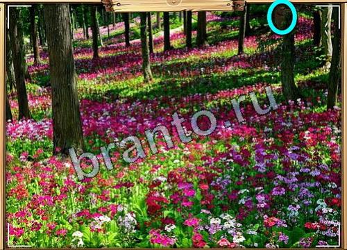 Усатое расследование решения Уровень 462