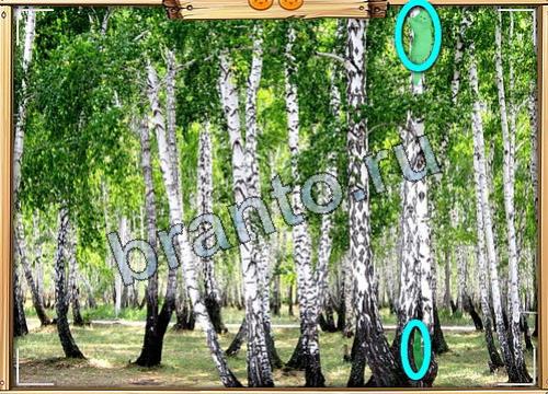 Усатое расследование ответы в картинках в контакте Уровень 466