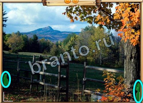 Игра Усатое расследование ответы вк Уровень 467