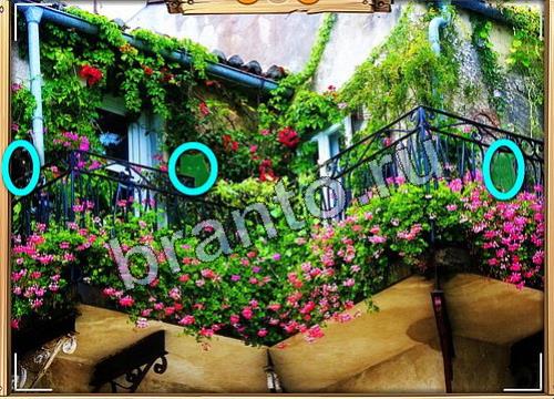 Игра Усатое расследование подсказки вк Уровень 468