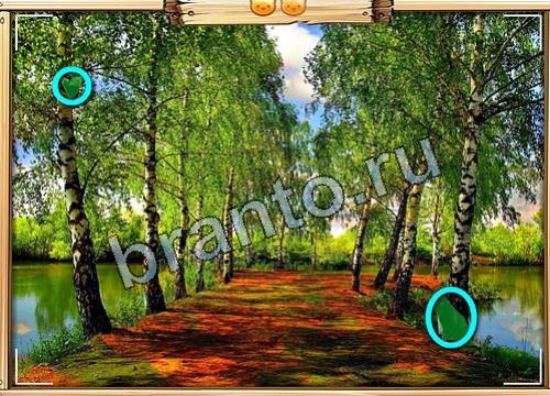 игра Усатое расследование ответы в одноклассниках на Уровень 470