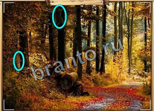 решебник на игру Усатое расследование Уровень 471