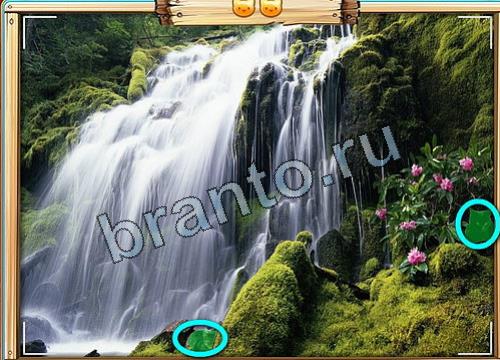 Усатое расследование решения Уровень 472