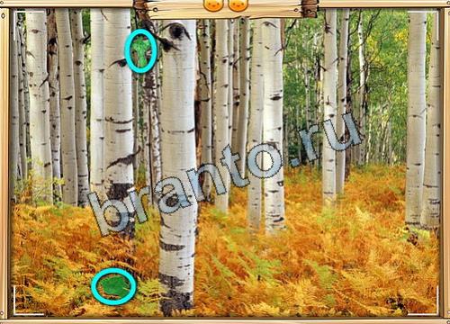 Усатое расследование игра ответы Уровень 473