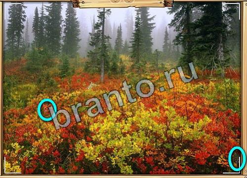 Усатое расследование игра подсказки Уровень 474