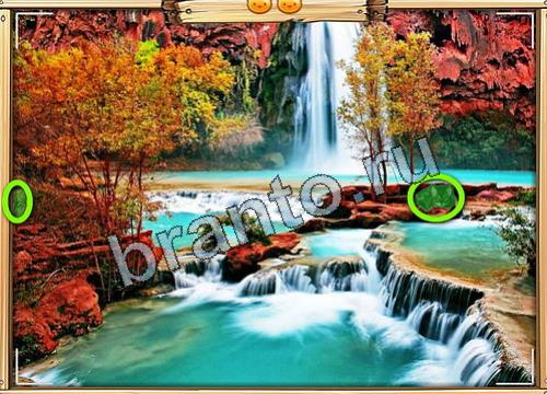 Усатое расследование ответы в картинках Уровень 476