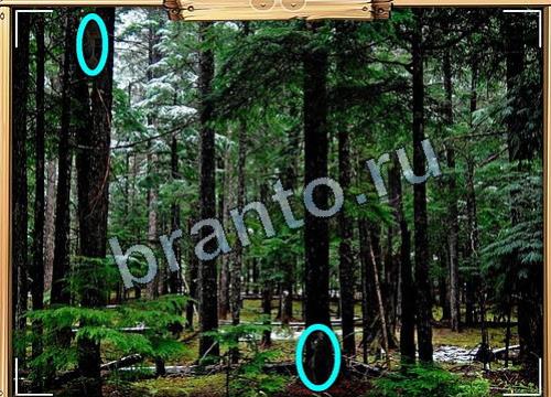 Игра Усатое расследование ответы вконтакте Уровень 477