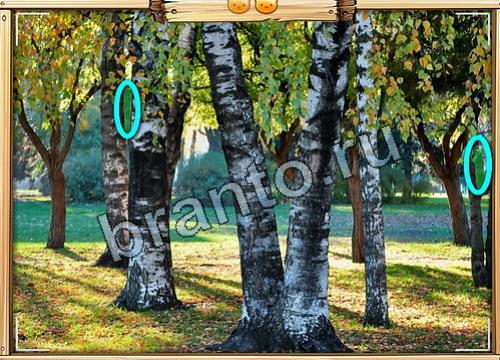 игра Усатое расследование помощь вконтакте Уровень 479