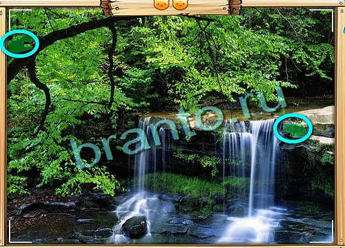 Подсказки на игру Усатое расследование Уровень 482