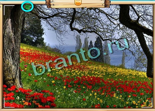 Решения на игру Усатое расследование Уровень 483