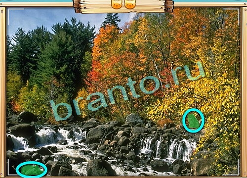 Помощь на игру ВК Усатое расследование Уровень 484