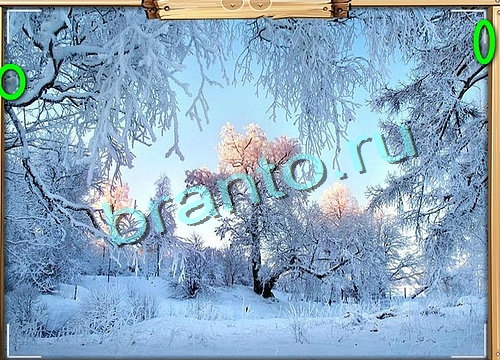 Усатое расследование игра ответы в одноклассниках Уровень 487