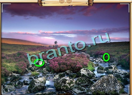 Усатое расследование подсказки в контакте Уровень 489