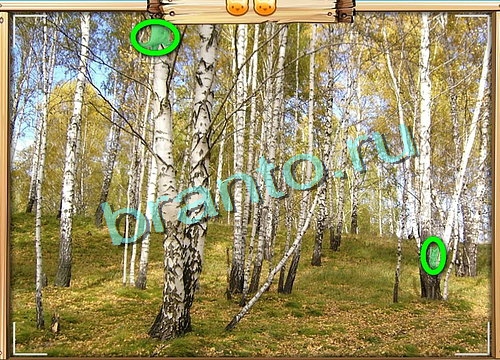 игра Усатое расследование ответ на Уровень 490