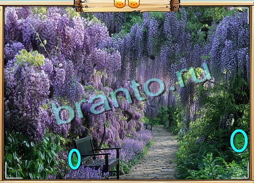 Усатое расследование игра ответы Уровень 493