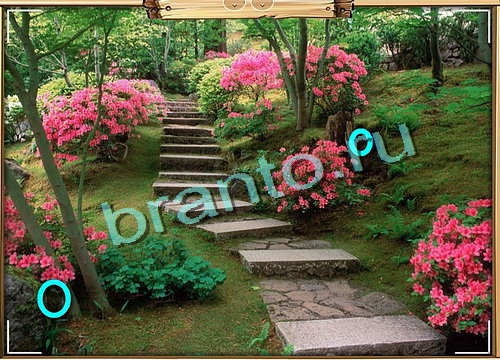 Усатое расследование игра в одноклассниках помощьУровень 495