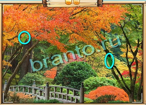 Игра Усатое расследование ответы вк Уровень 497