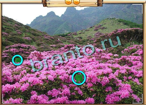 игра Усатое расследование ответы в одноклассниках на Уровень 500