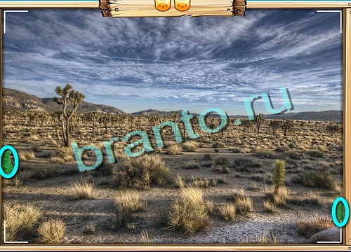 Усатое расследование игра ответы Уровень 503