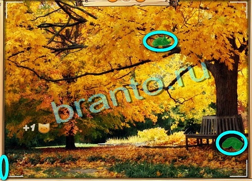 Игра Усатое расследование ответы вконтакте Уровень 507