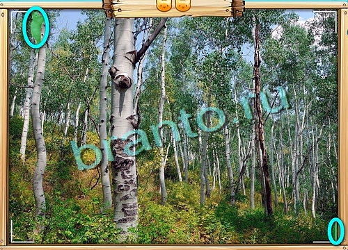 игра Усатое расследование помощь вконтакте Уровень 509