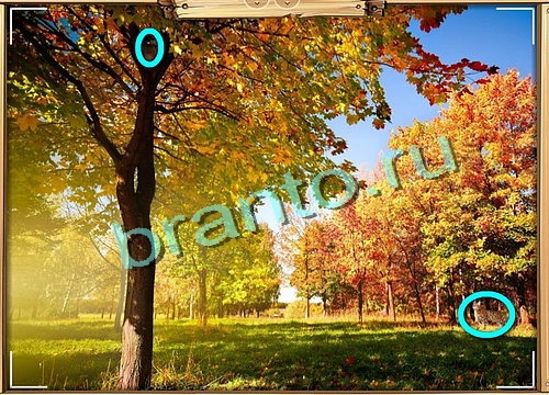 игра Усатое расследование ответ одноклассники на Уровень 510