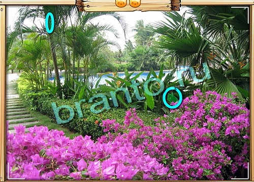 Подсказки на игру Усатое расследование Уровень 512