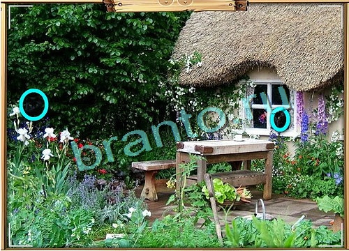 Решения на игру Усатое расследование Уровень 513