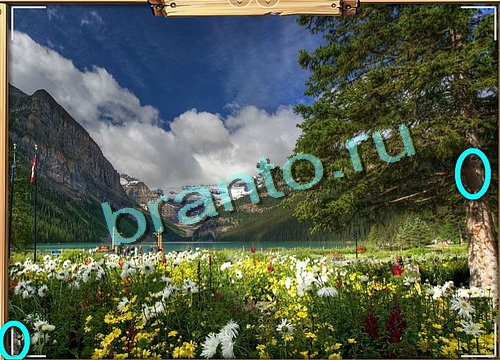 Одноклассники Усатое расследование ответы Уровень 518