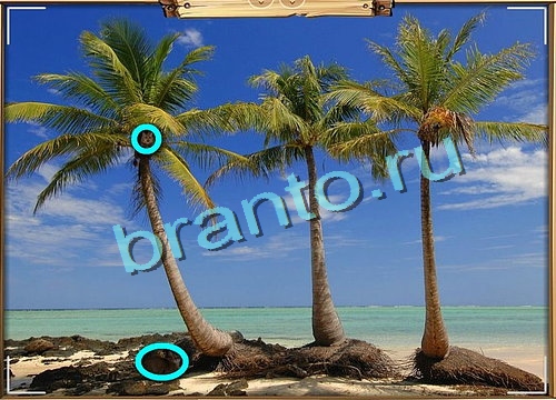 Усатое расследование подсказки в контакте Уровень 519