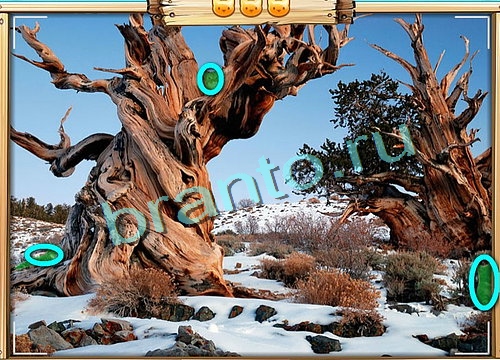 игра Усатое расследование ответ на Уровень 520